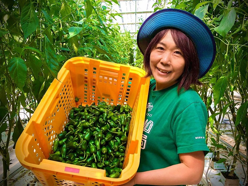 ※遠野パドロンの生産者