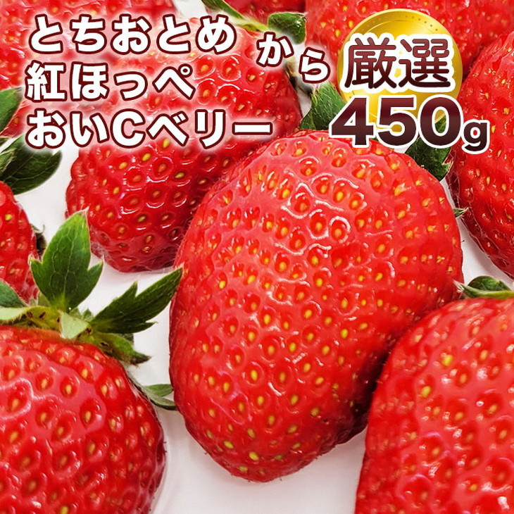 数量限定】完熟 京いちご 1箱 希少 お楽しみ【紅ほっぺ とちおとめ おいCベリー から厳選してお届け】 小島農園 果実 新鮮 フルーツ 旬 イチゴ 苺  有名 スイーツ店 御用達※2022年1月中旬～5月末頃に発送予定 - 京都府亀岡市｜ふるさとチョイス - ふるさと納税サイト