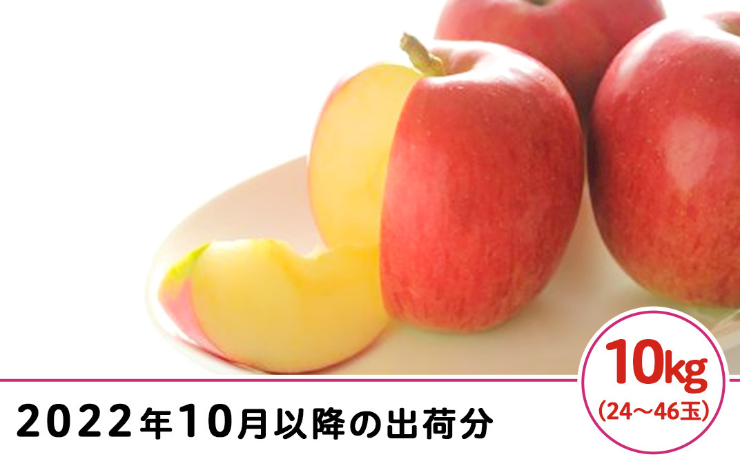 J0525長野市産シナノスイート（家庭用）10kg【2022年10月以降の出荷分】（矢島農園） - 長野県長野市｜ふるさとチョイス - ふるさと納税 サイト