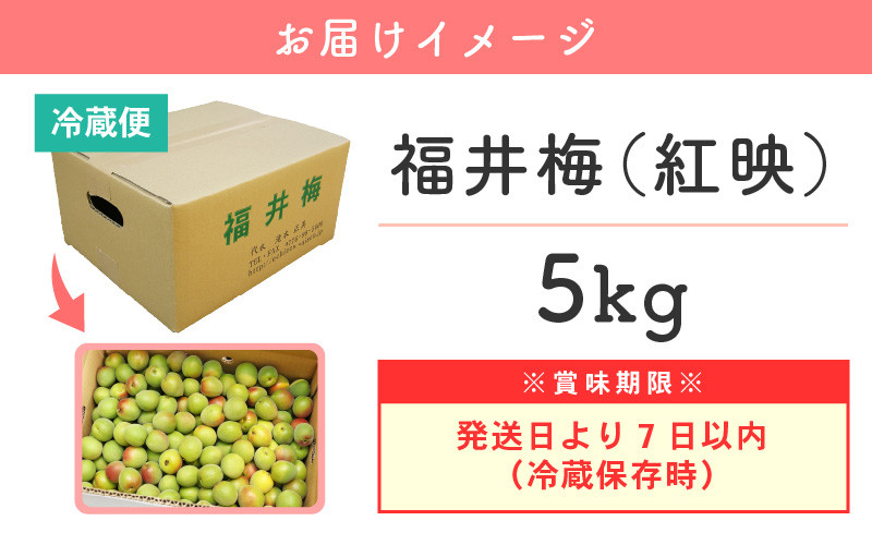 売店 調味料 梅ごしょう50ｇ 福井県産紅映梅使用 お取り寄せ グルメ