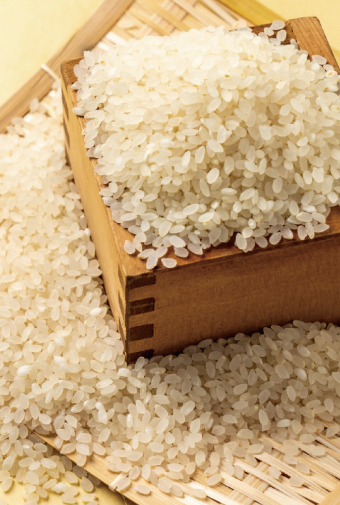 横尾衛門のお米と焼肉のたれセット【米 お米 白米 精米 特別栽培米 低