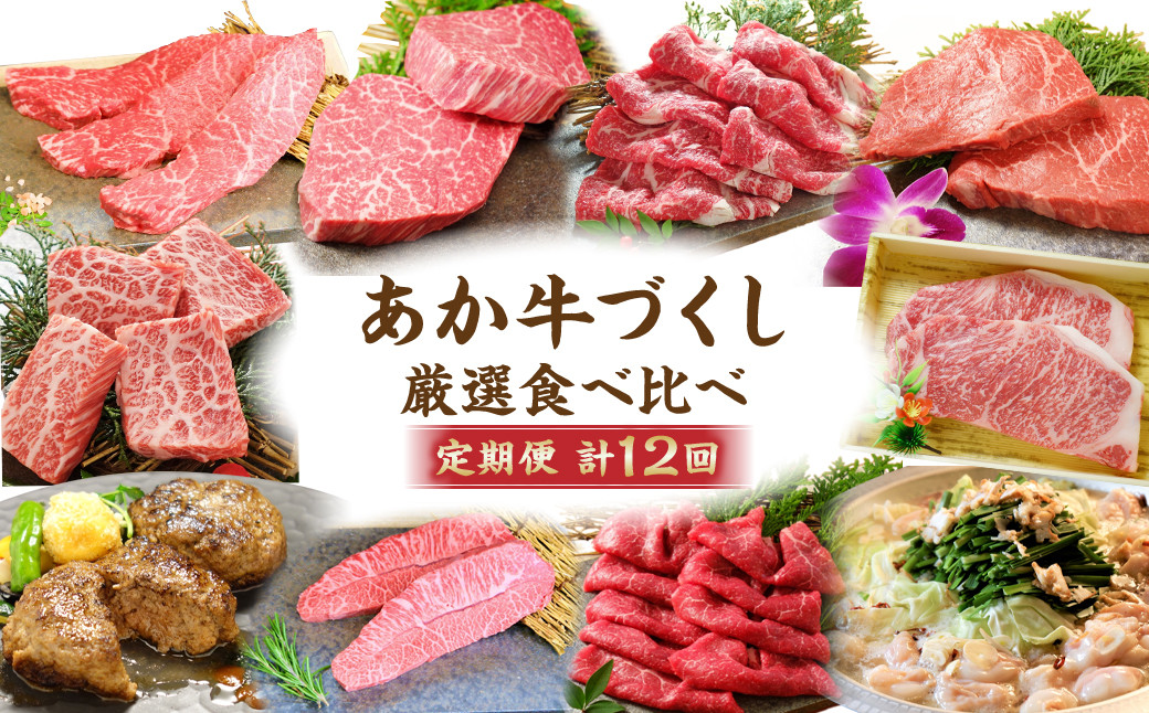 誠実 ふるさと納税 【12ヶ月定期便】 あか牛 づくし 厳選 食べ比べ セット 牛肉 熊本県菊陽町