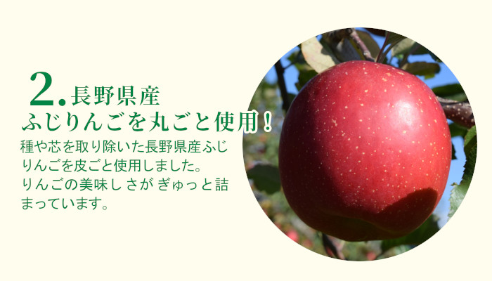 信州りんごアイス お試し4個入り アイスクリーム - 長野県根羽村｜ふるさとチョイス - ふるさと納税サイト