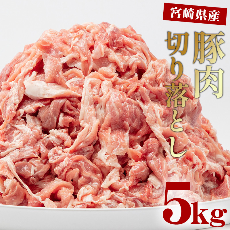 宮崎県産 豚肉 切り落とし 250g×20 合計5kg_M144-016 - 宮崎県宮崎市｜ふるさとチョイス - ふるさと納税サイト