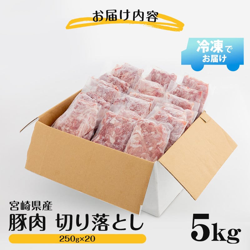 宮崎県産 豚肉 切り落とし 250g×20 合計5kg_M144-016 - 宮崎県宮崎市｜ふるさとチョイス - ふるさと納税サイト