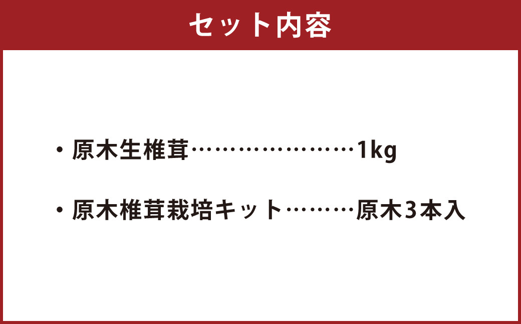 肉厚原木生 椎茸 1kg＆「おウチでキノコ狩り」原木椎茸栽培キット