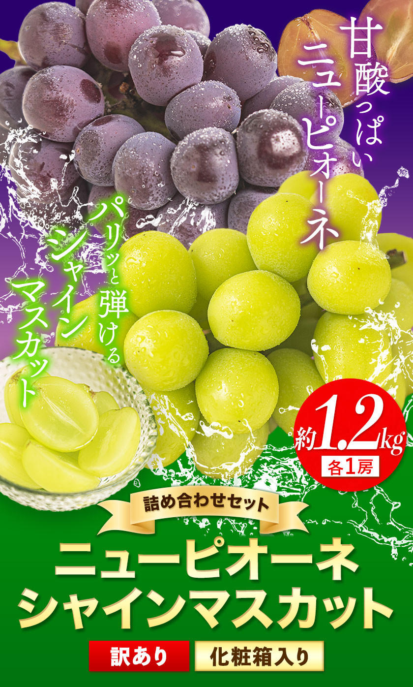 動作確認済 ピオーネ 岡山県産 約5kgx2 「6房〜11房」 ぶどう