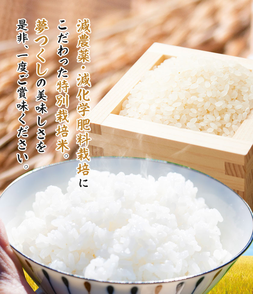 令和6年産【特別栽培米】岐阜県産 夢ごこち 白米10Kg（レビューで