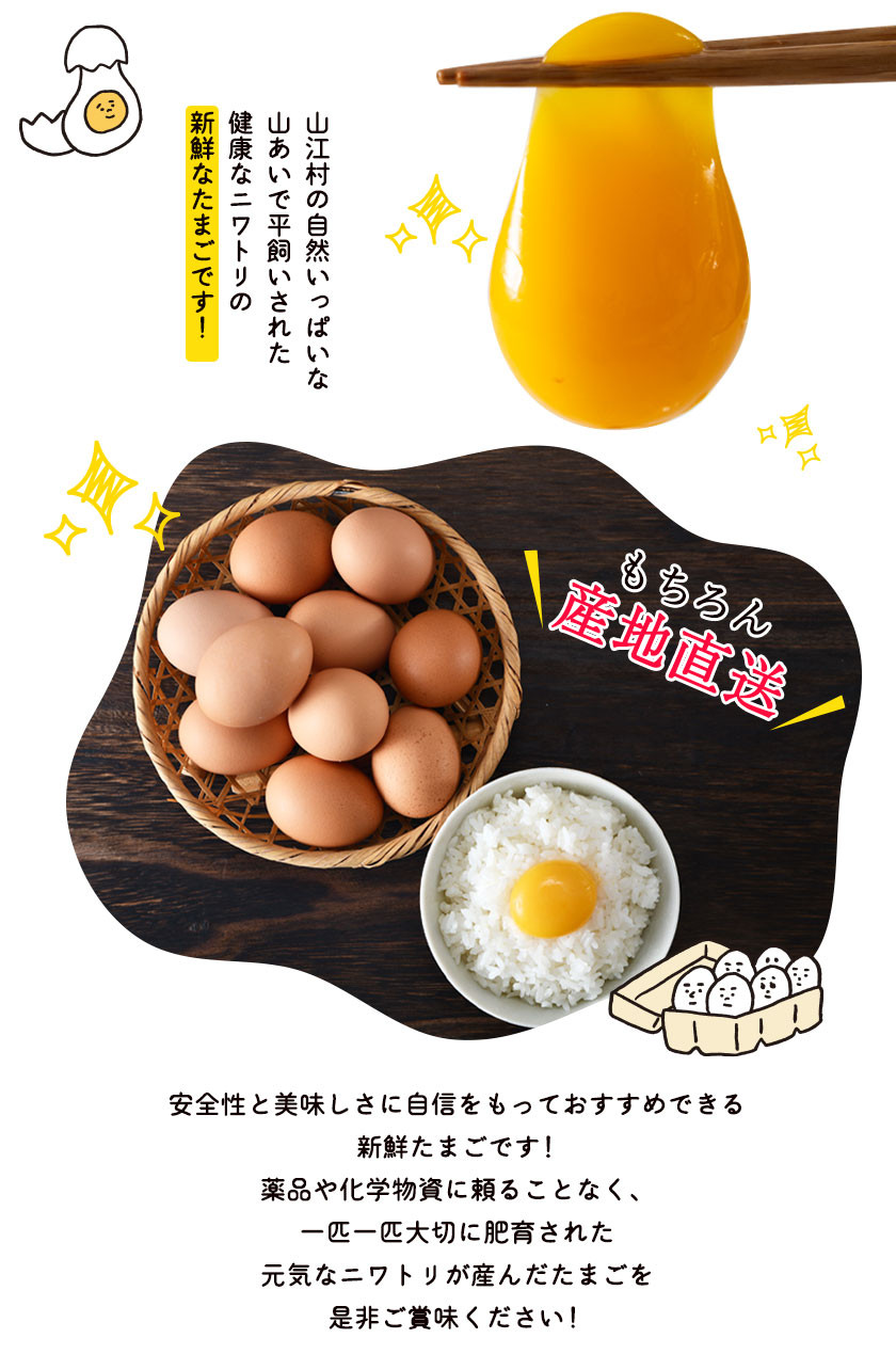 非売品 ふるさと納税 王様の卵 ヨード入 60個 平飼い 地鶏 有精卵 濃厚 卵 こだわり卵 たまご 茨城県牛久市