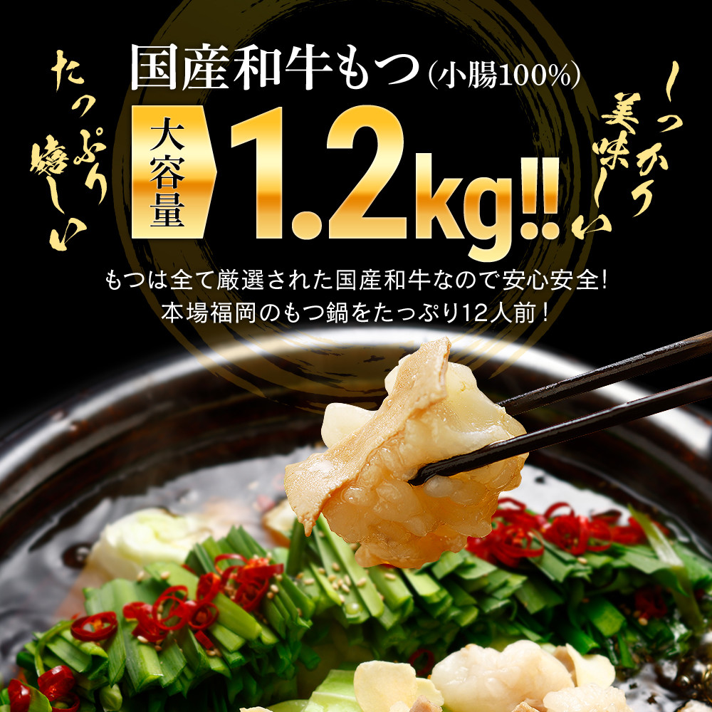 最安値で さとふるふるさと納税 遠賀町 博多もつ鍋 味噌味 3人前 ccak.sn