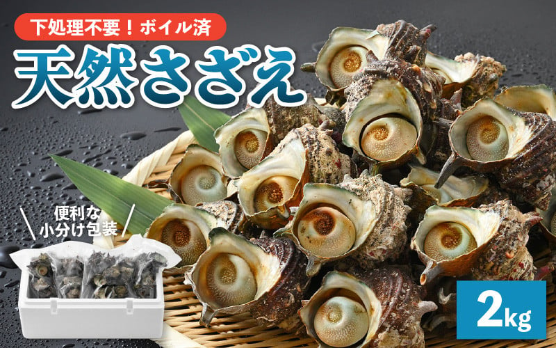 市場 ふるさと納税 魚介 さざえ1kg 魚介類 日本海天然 サザエ 海鮮