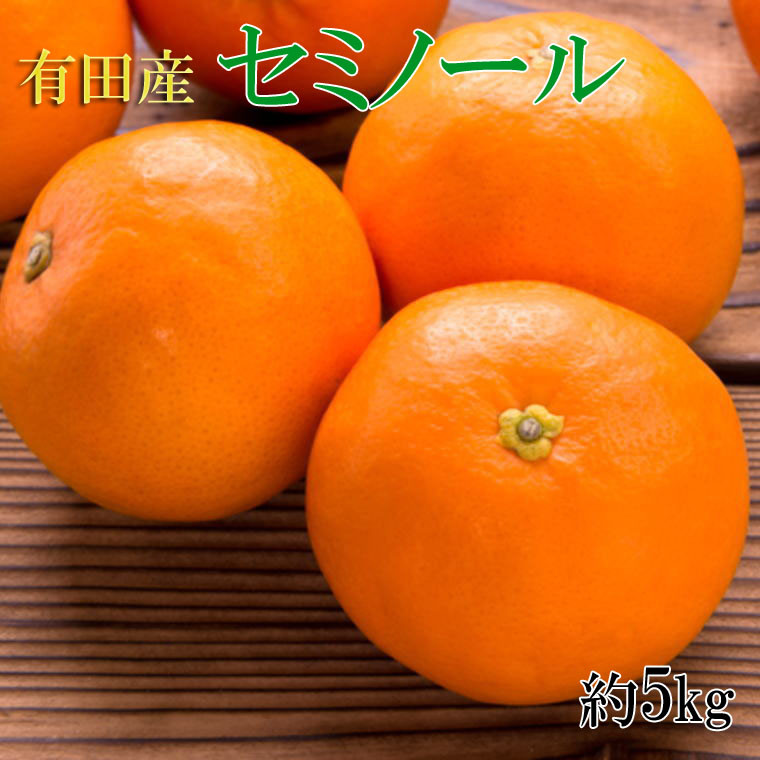 和歌山有田産セミノールオレンジ約5kg(サイズおまかせ 秀品) - 和歌山県北山村 | ふるさと納税 [ふるさとチョイス]
