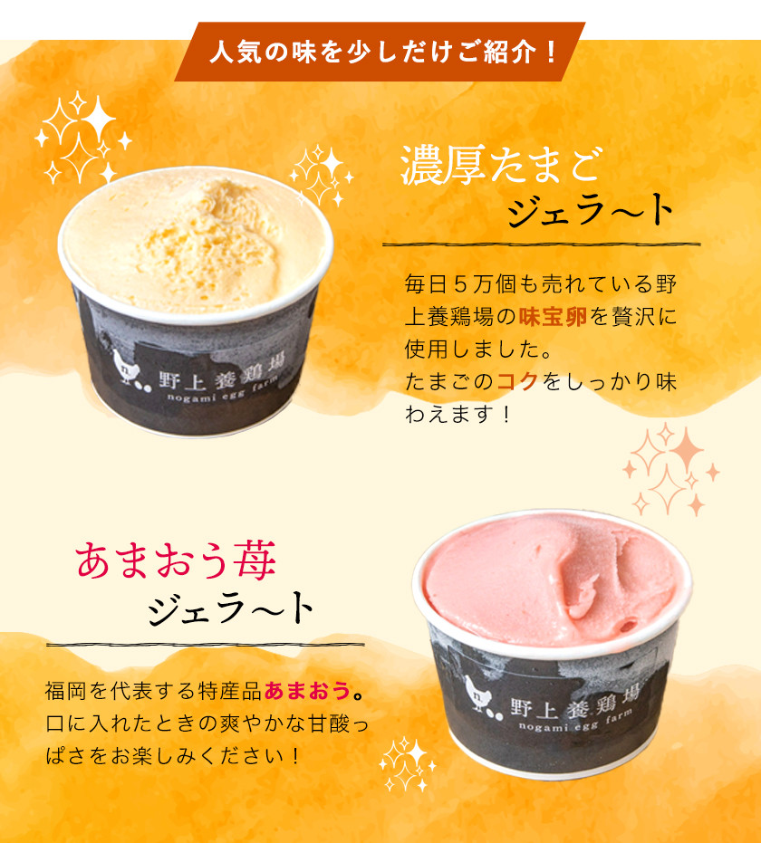 人気の贈り物が大集合 ふるさと納税 手作り ジェラート 6カップ 詰め合わせ セット 屋久島産の新鮮食材を使用 鹿児島県屋久島町 