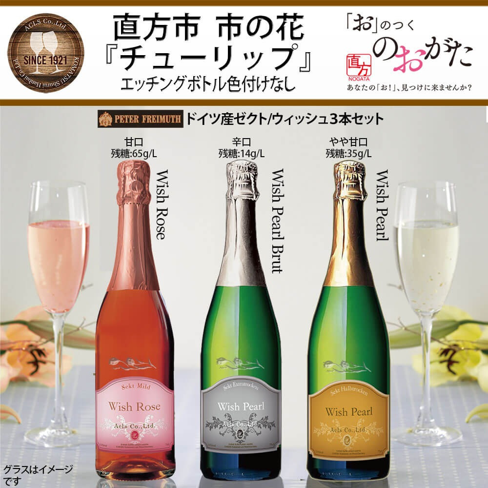 Nc305 直方市 チューリップ エッチングボトル スパークリングワイン ウィッシュ 3本 セット ワイン 名入れ プレゼント 福岡県直方市 ふるさと納税 ふるさとチョイス