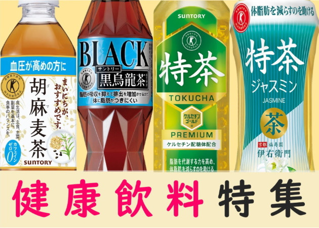 13-39_サントリー 伊右衛門プラス おいしい糖質対策 500ml 24本（1