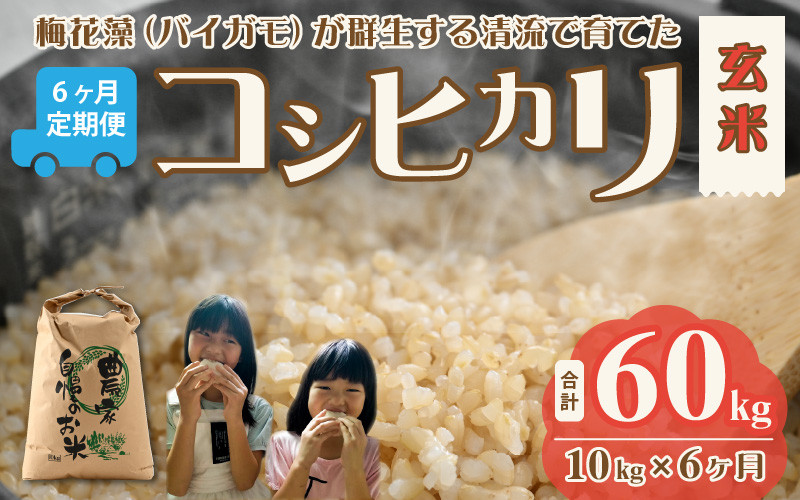 茨城県産　2022年米　コシヒカリ　玄米 30キロ　普通精米無料！