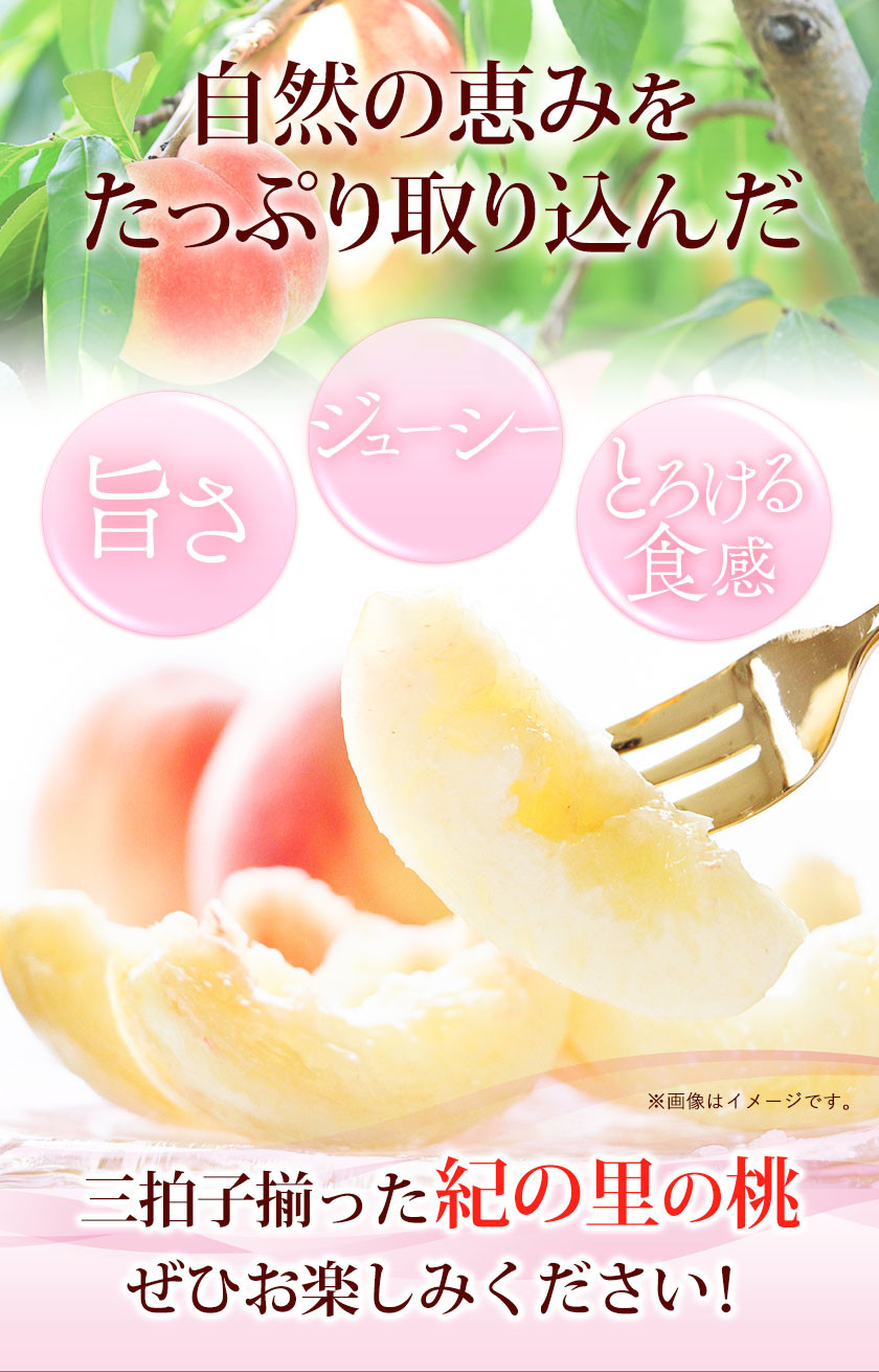 和歌山県産 紀の里の桃 約2kg(6-8玉入り) 《2023年6月中旬-8月中旬頃より順次出荷》お届け時期に合わせた品種を厳選してお届けいたします！  - 和歌山県紀の川市｜ふるさとチョイス - ふるさと納税サイト