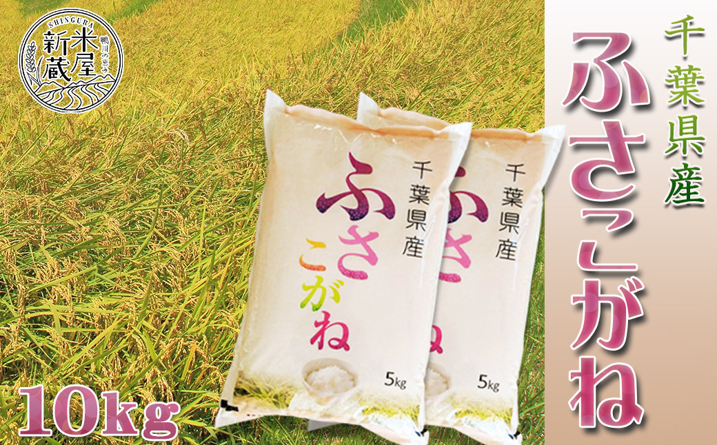 10kg　五百川　千葉県産　無洗米　新米　令和五年産