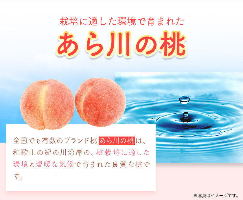 あら川の桃秀品12～15玉入り（約4kg） もも 紀の川マルシェ 《2023年6月上旬-8月末頃より順次出荷》 和歌山県 紀の川市 モモ - 和歌山県 紀の川市｜ふるさとチョイス - ふるさと納税サイト