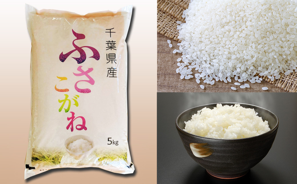 最新情報 ふさこがね 無洗米 5kg 農家の食べてるお米 に似ています