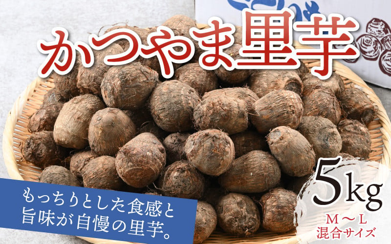 先行予約】 令和6年産 かつやま里芋 5kg ※2024年10月25日以降順次発送 [A-005006] - 福井県勝山市｜ふるさとチョイス -  ふるさと納税サイト