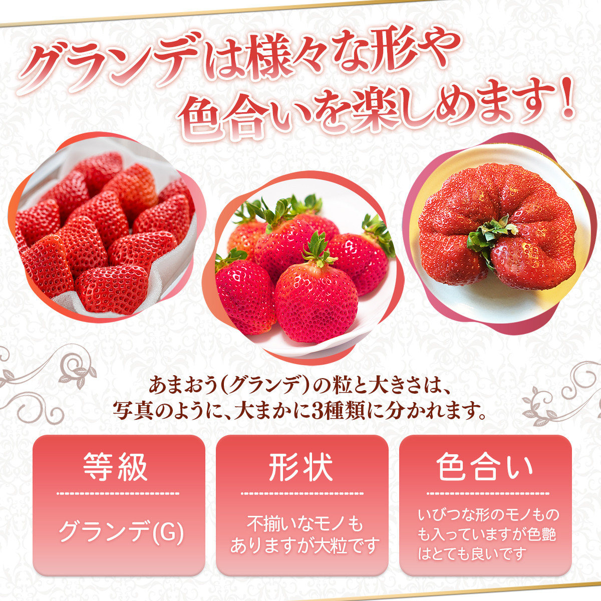 TY033 福岡県産 あまおうG以上 1000g（4パック） 先行予約 2023年1月～3月末にかけて順次発送予定 - 福岡県宇美町｜ふるさとチョイス  - ふるさと納税サイト