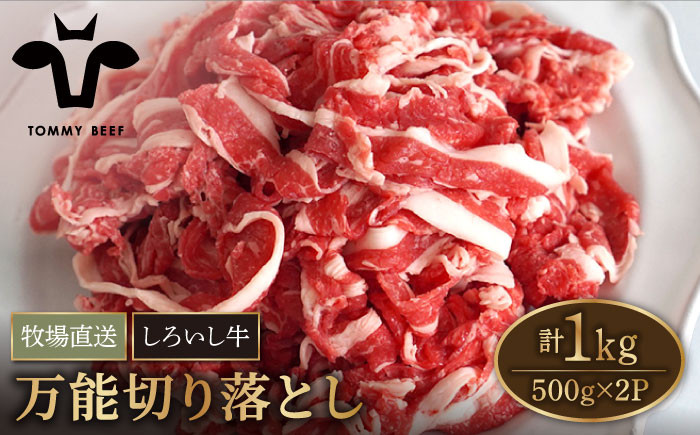 牧場直送】佐賀県産 しろいし牛 万能 切落し 1kg（500g×2パック）【有限会社佐賀セントラル牧場】[IAH005] - 佐賀県白石町｜ふるさとチョイス  - ふるさと納税サイト