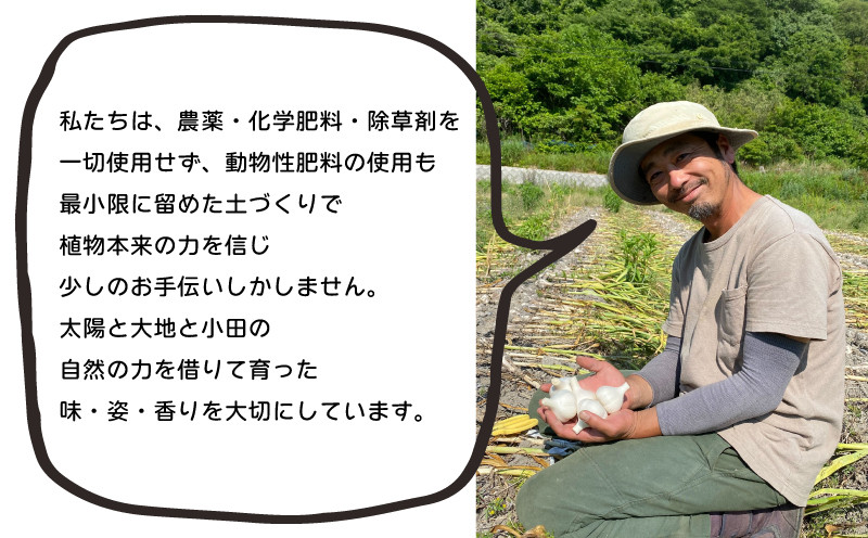 国産無農薬 乾燥にんにく 1kg - 香川県さぬき市｜ふるさとチョイス - ふるさと納税サイト