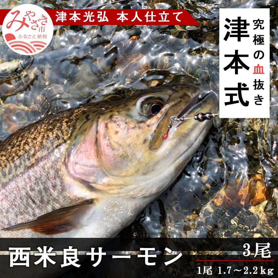 津本式 西米良サーモン３尾 津本光弘本人仕立て M135 006 02 宮崎市宮崎市 ふるさと納税 ふるさとチョイス