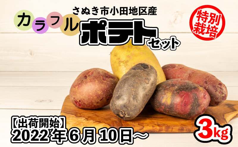 国産無農薬 カラフルポテト 3kg 詰合せ - 香川県さぬき市｜ふるさとチョイス - ふるさと納税サイト