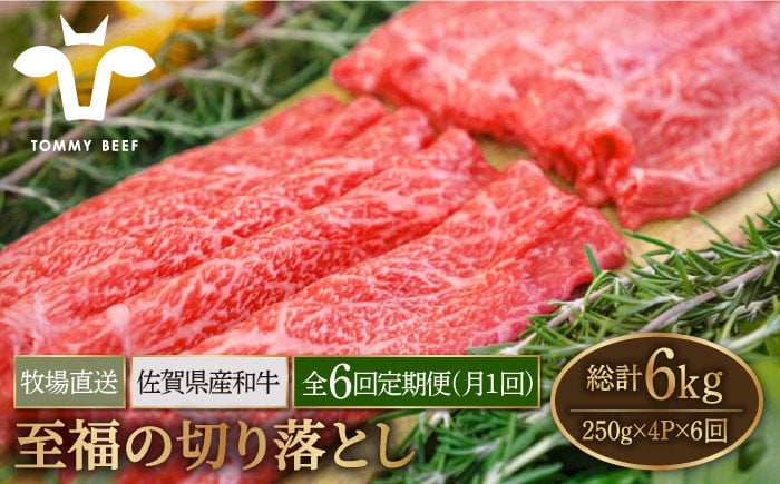 【牧場直送】【6回定期便】佐賀県産和牛 至福の切り落とし 1kg（250g×4パック）【有限会社佐賀セントラル牧場】 [IAH095]