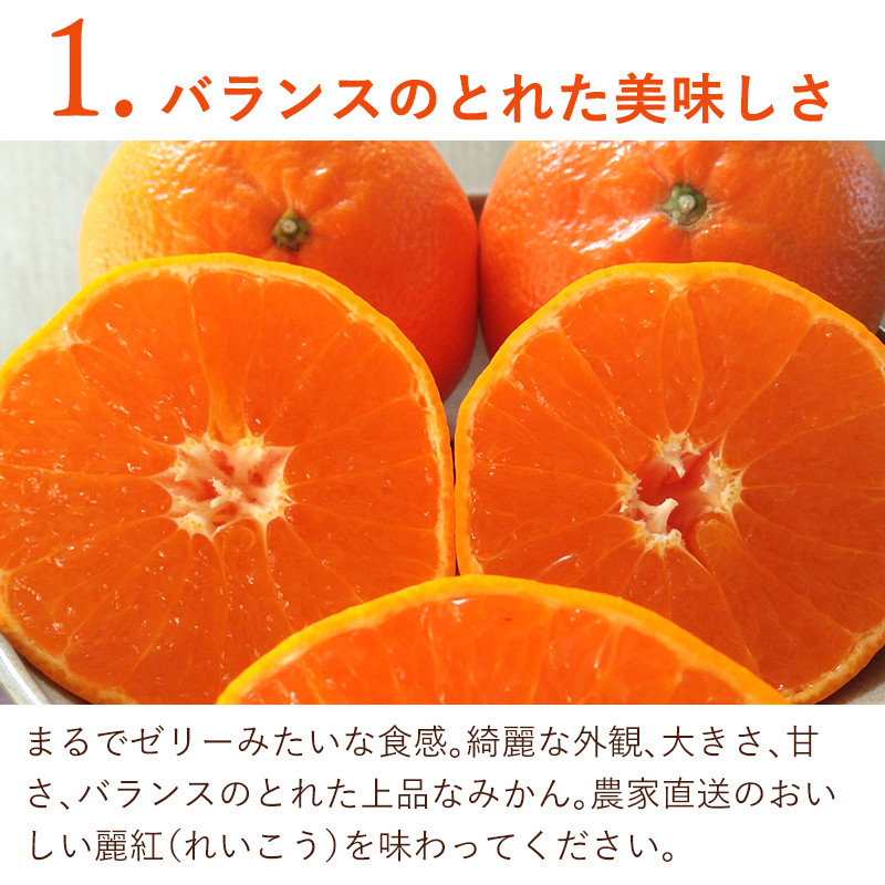 『予約受付』麗紅(れいこう) ハウス栽培 唐津産 2.5kg【令和6年1月下旬発送】