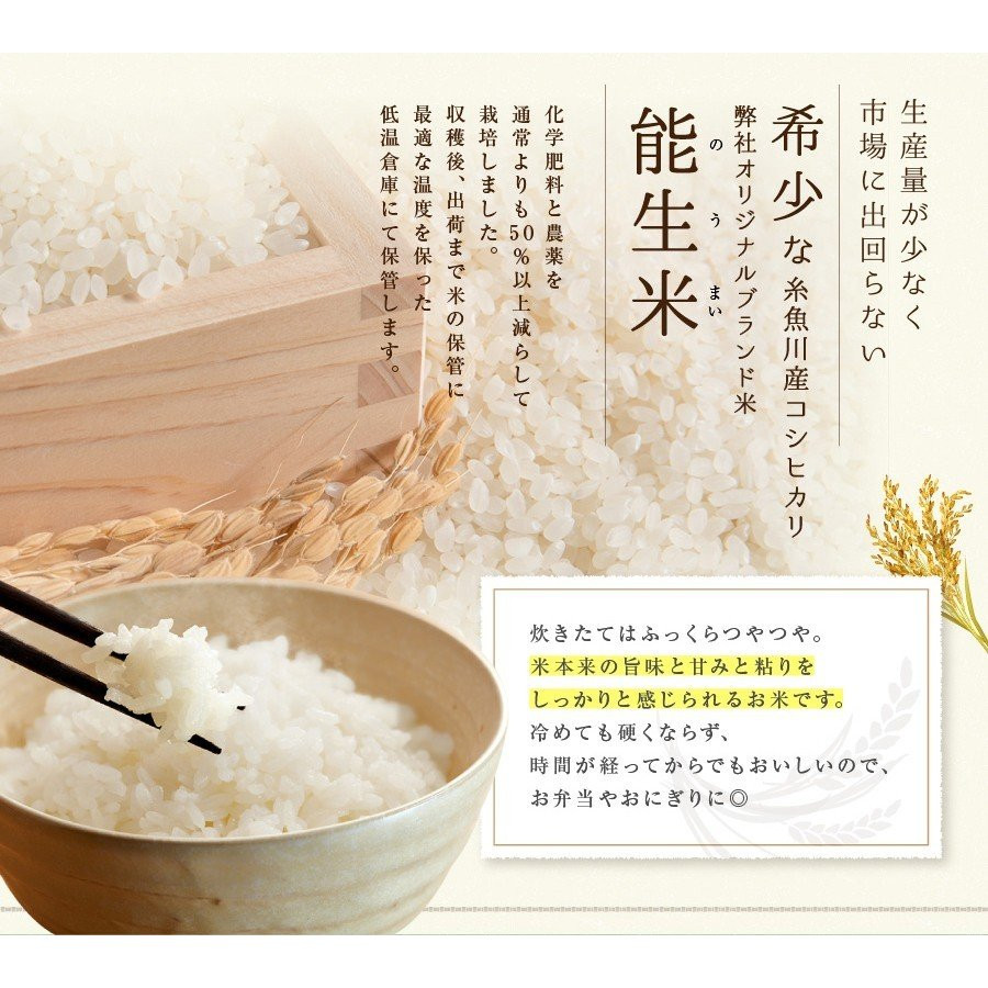 【令和5年産新米】新潟県産コシヒカリ『能生米』5kg 農家直送 米・食味鑑定士お墨付き 美味しいお米をお届けします！2023 白米