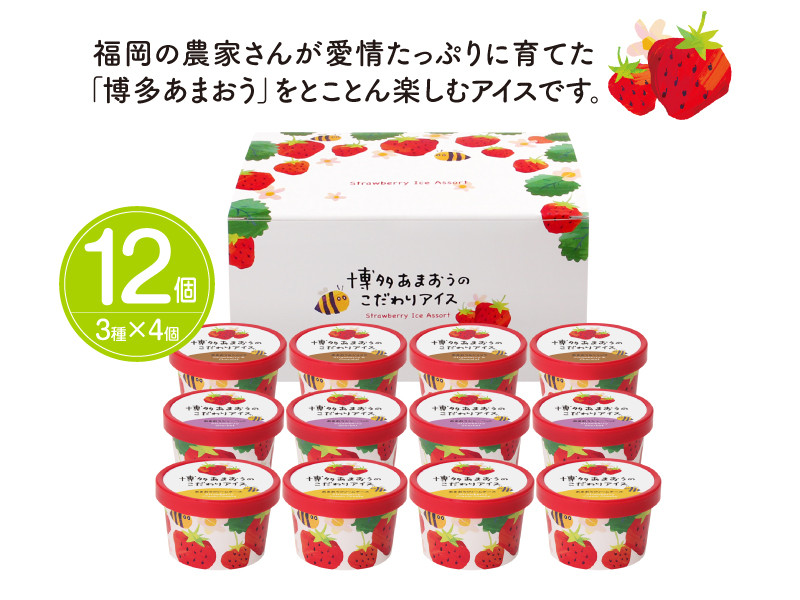 ふるさと納税限定】博多あまおう こだわりアイス 12個入り SE1040-12 - 福岡県須恵町｜ふるさとチョイス - ふるさと納税サイト