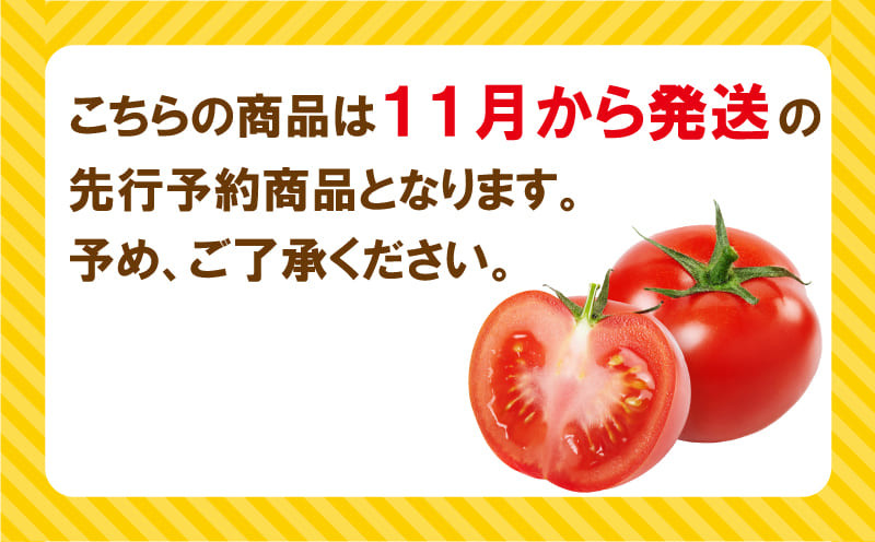 フルーツ トマト 星のしずく 糖度8以上 1.3kg 阿波市産 大容量 - 徳島県阿波市 | ふるさと納税 [ふるさとチョイス]
