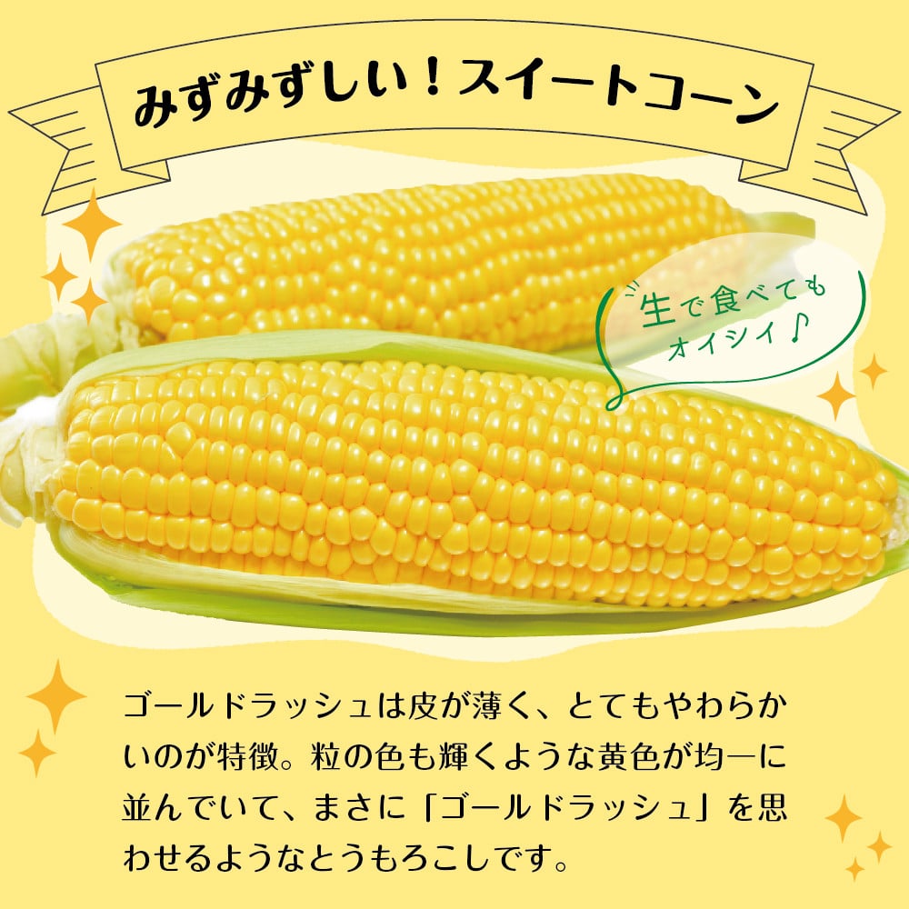 23年分先行予約 北海道十勝芽室町 とかち晴れ 十勝めむろスイートコーン 13本入り Me010 005 芽室町芽室町 ふるさと納税 ふるさとチョイス