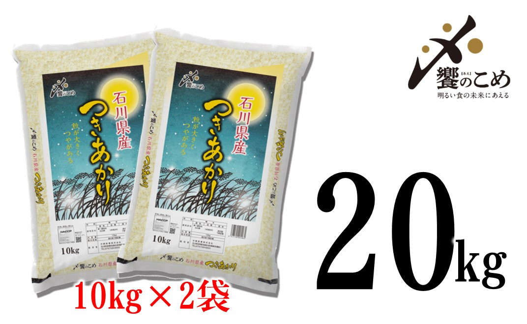 新米コシヒカリ20kg茨城県産◉無洗米・白米tw - 米