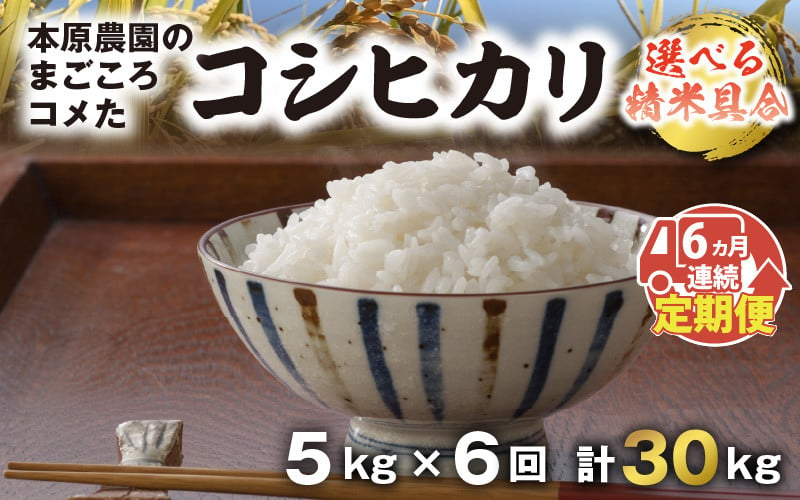 C-8961_01] 【令和5年産新米】【農家直送定期便 6ヶ月コース】【白米