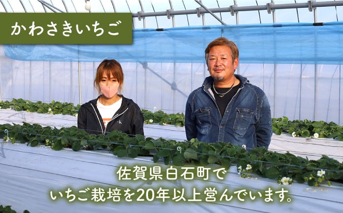 先行予約】【農家直送】紅白いちご「いちごさん」＆「パールホワイト」化粧箱 約330g以上【かわさきいちご】 [IBG001] - 佐賀県白石町｜ふるさとチョイス  - ふるさと納税サイト