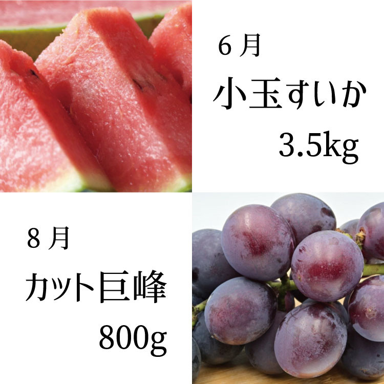 全6回定期便】偶数月にお届け♪和歌山のフルーツ堪能定期便！不知火・木成り八朔・すいか・巨峰・たねなし柿・有田みかん - 和歌山県古座川町｜ふるさとチョイス  - ふるさと納税サイト