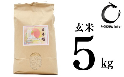 A157 自然栽培米 越田さんちの日本晴 玄米 5kg 石川県羽咋市 ふるさとチョイス ふるさと納税サイト