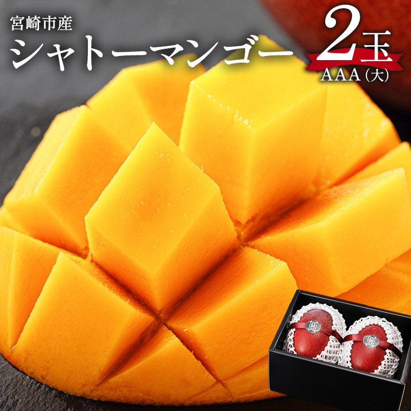 宮崎県産 完熟マンゴー 2kg