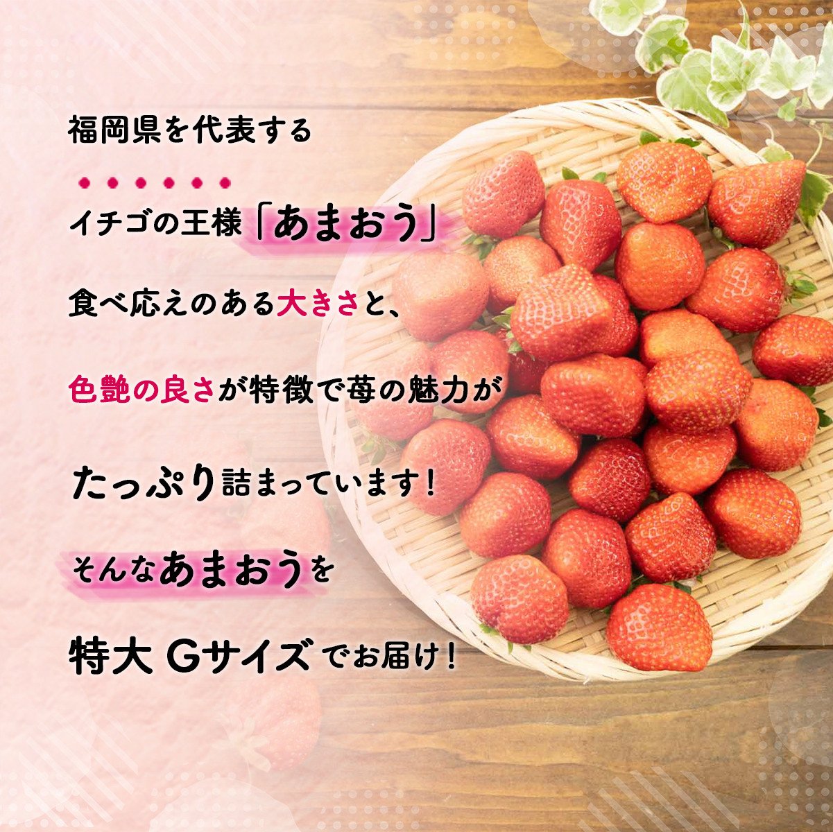 MZ041 福岡県産 あまおうG以上 1250g（5パック） 先行予約 ※2023年2月～3月末にかけて順次発送予定 - 福岡県篠栗町｜ふるさとチョイス  - ふるさと納税サイト