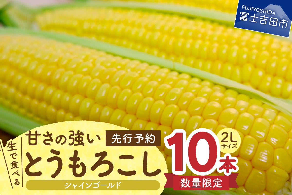 数量限定・先行予約】生で食べるフルーツとうもろこし 甘さの強い「シャインゴールド」10本 - 山梨県富士吉田市｜ふるさとチョイス - ふるさと納税サイト