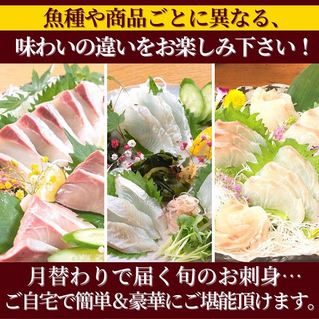 お楽しみ定期便】延岡産活〆鮮魚の豪華お刺身 （6ヶ月定期便）FF006 請関水産 - 宮崎県延岡市｜ふるさとチョイス - ふるさと納税サイト