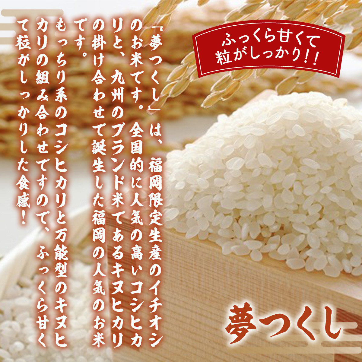 暖色系 お父ちゃん産夢つくし玄米2022産 24kg - 通販 - anubanssk.ac.th