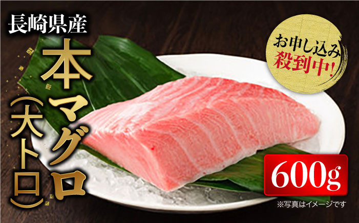 人気返礼品が復活】長崎県産 本マグロ「大トロ」約600g /大トロ 大とろ まぐろ 刺身【大村湾漁業協同組合】BAK013 - 長崎県東彼杵町｜ふるさとチョイス  - ふるさと納税サイト