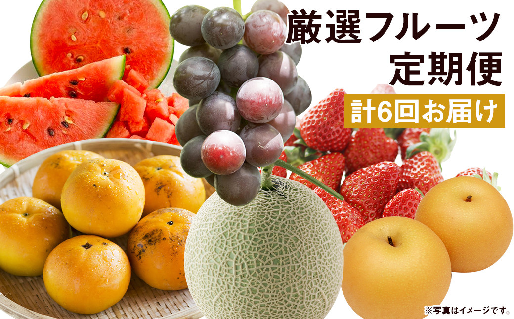 旬のフルーツ定期便　うきは市　福岡県　ふるさと納税　通販　SD23　「フルーツ王国！うきは」から