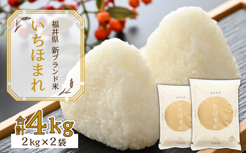 令和5年産 福井県の新しいブランド米 いちほまれ2kg ×2袋（計 4kg）[A