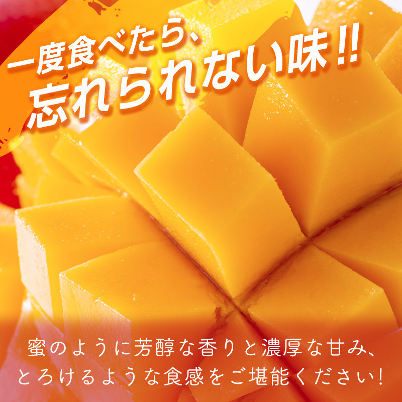 今が旬！！宮崎県西都市産完熟マンゴー2L×2個 西都市特産品＜1.2-39＞ - 宮崎県西都市｜ふるさとチョイス - ふるさと納税サイト